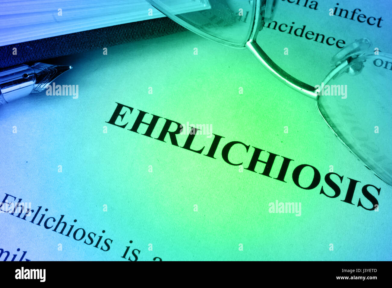 Documento con word ehrlichiosis in un ospedale. Foto Stock