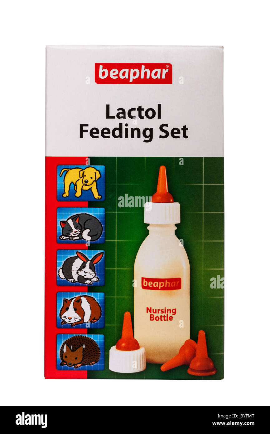 Una la beaphar lattolo Set per l'allattamento per allattamento al biberon baby animali su sfondo bianco Foto Stock