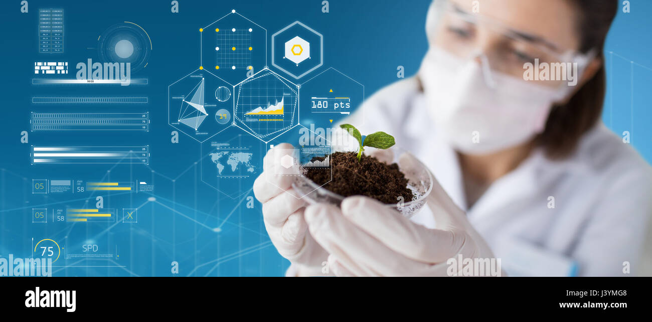 Scienziato con pianta e il terreno su carte virtuali Foto Stock
