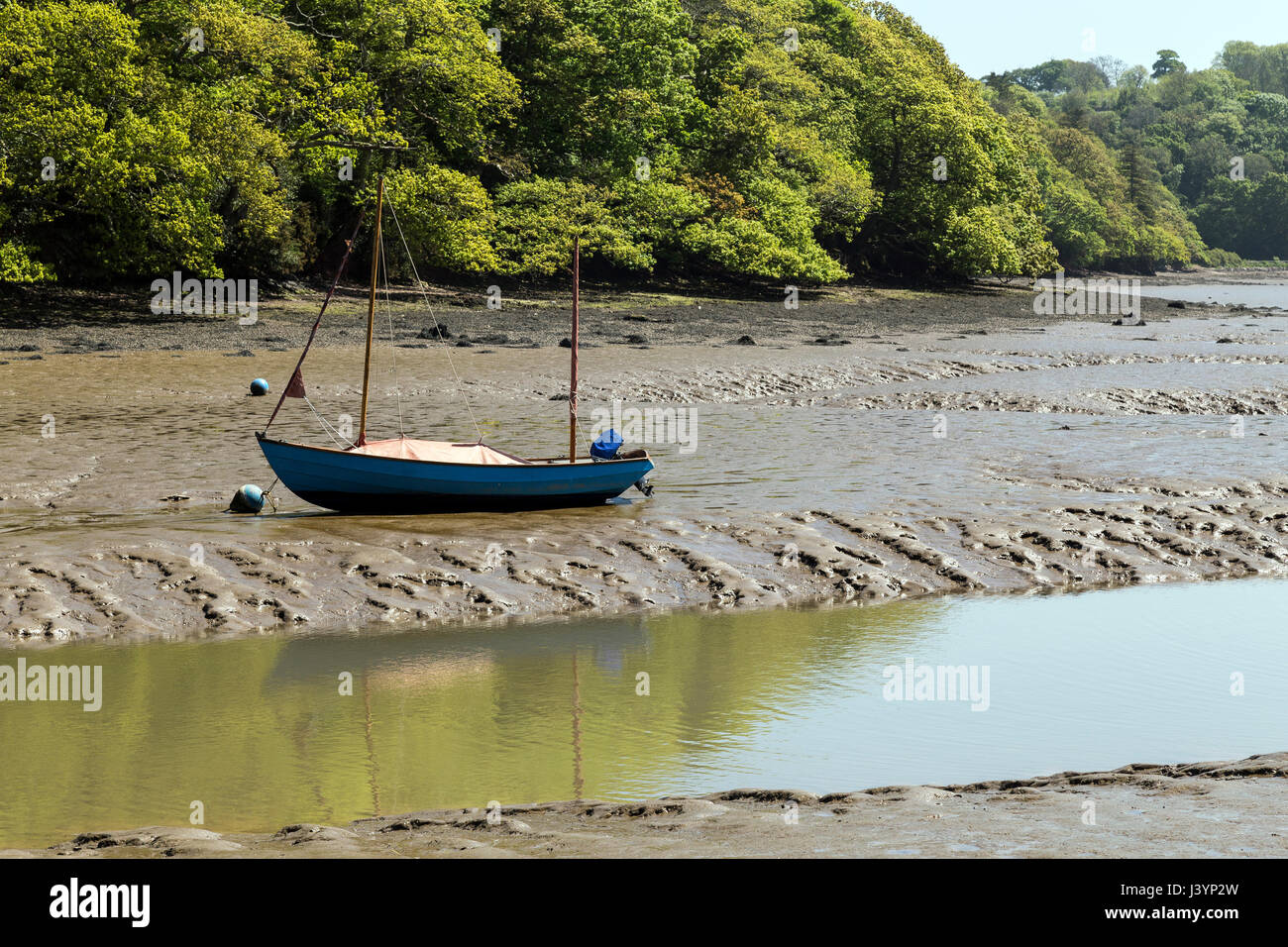 Stoke Gabriel e il fiume Dart, creek,South Hams,Devon,River Dart estuario e il tranquillo laghetto del mulino storico di Stoke Gabriel village,interramento creek, Foto Stock