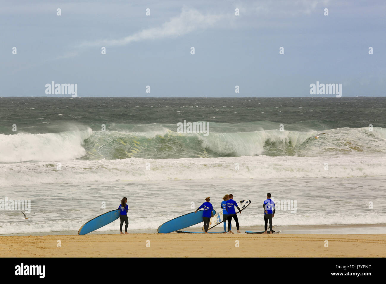 "Allievo' surfers di attesa per le grandi ondate a Bondi Beach, Sydney, Australia Foto Stock