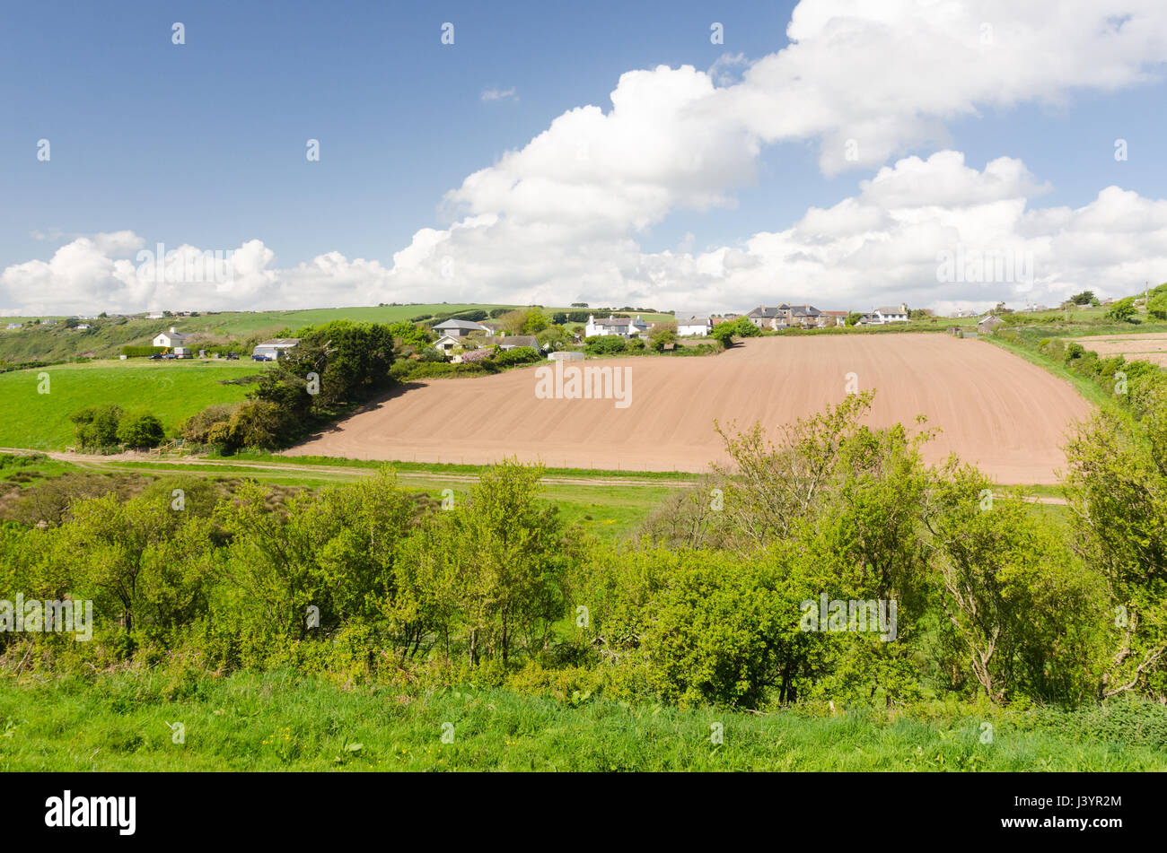 Terreni agricoli nel sud grazioso villaggio di prosciutti di Bantham in Devon Foto Stock