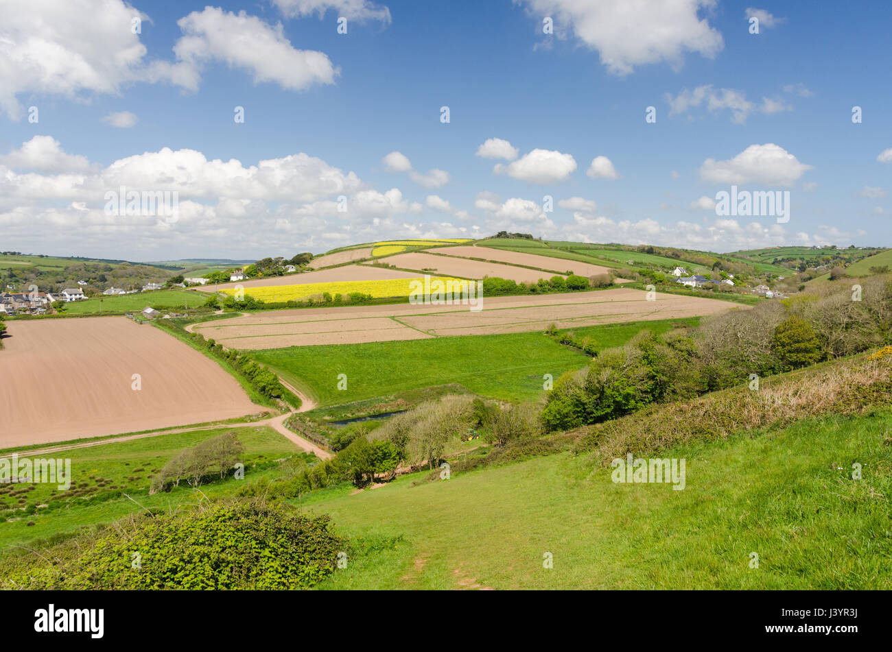 Terreni agricoli nel sud grazioso villaggio di prosciutti di Bantham in Devon Foto Stock