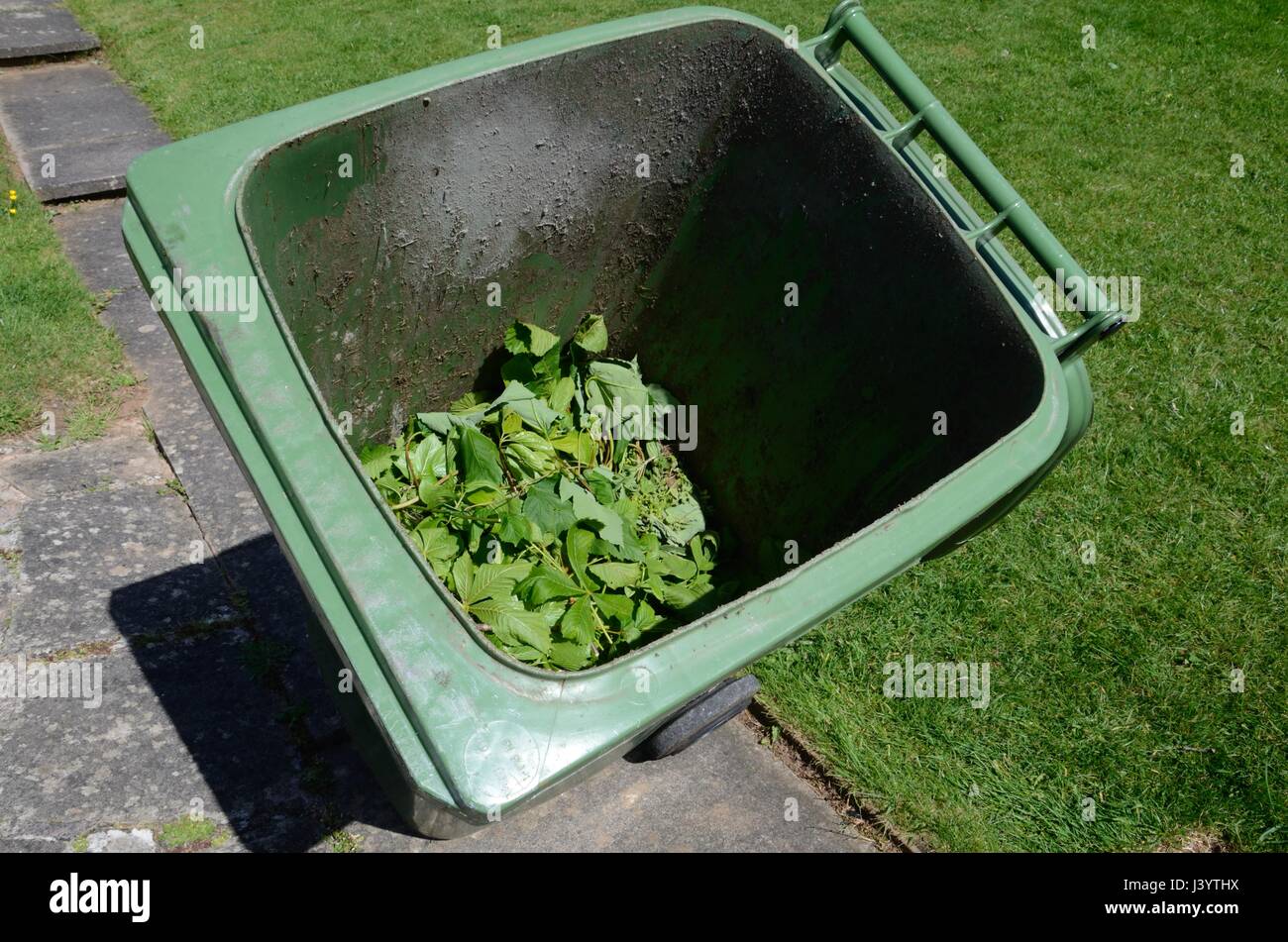 Giardino spazzatura in verde bidone con ruote Foto Stock