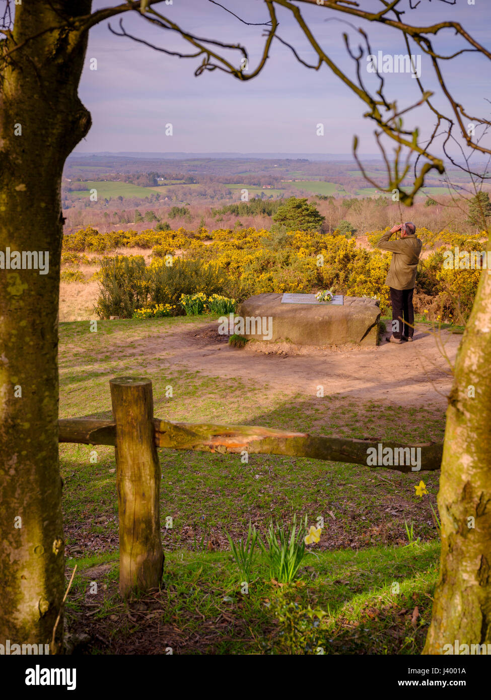 Gill's giro su Ashdown Forest dove un commoration pietra viene posizionata per AA Milneand EH Shepard di Winnie the Pooh storie. 26/03/17 Foto Stock