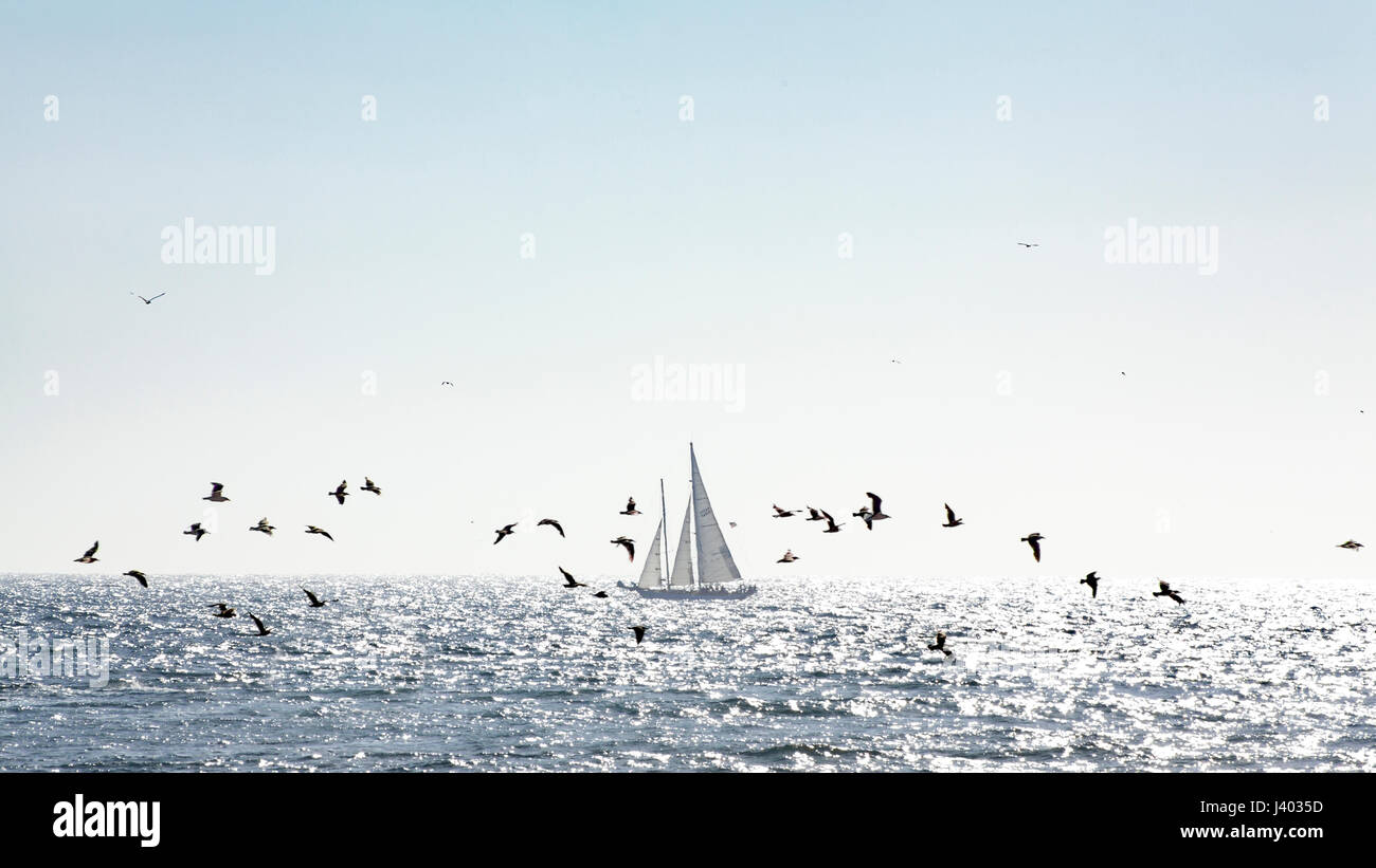 A Tall Ship ventures al di fuori del porto di Oxnard in California Foto Stock