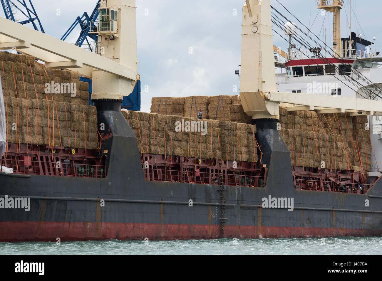 Il Farah Princess nave da carico nel porto di Balchik, un Mar Nero città costiera e la località balneare in Dobruja meridionale area del nord-est della Bulgaria. T Foto Stock