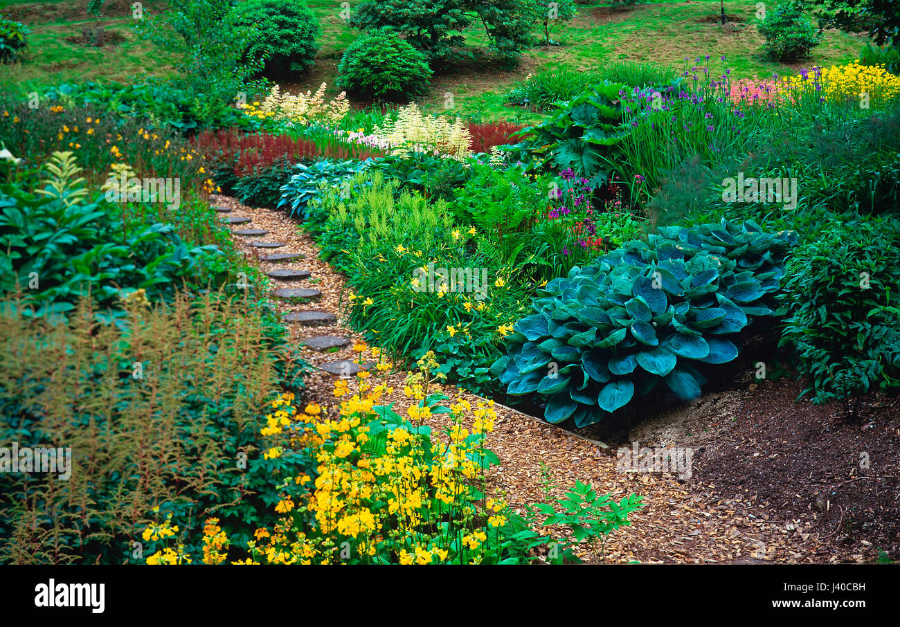 Il BOG giardini di un country house garden a inizio estate Foto Stock