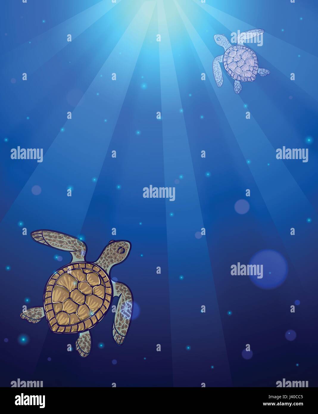Mare sottomarino scena con due tartarughe marine e della luce del sole che splende attraverso la superficie dell'acqua. L'acqua dell'oceano sullo sfondo Illustrazione Vettoriale