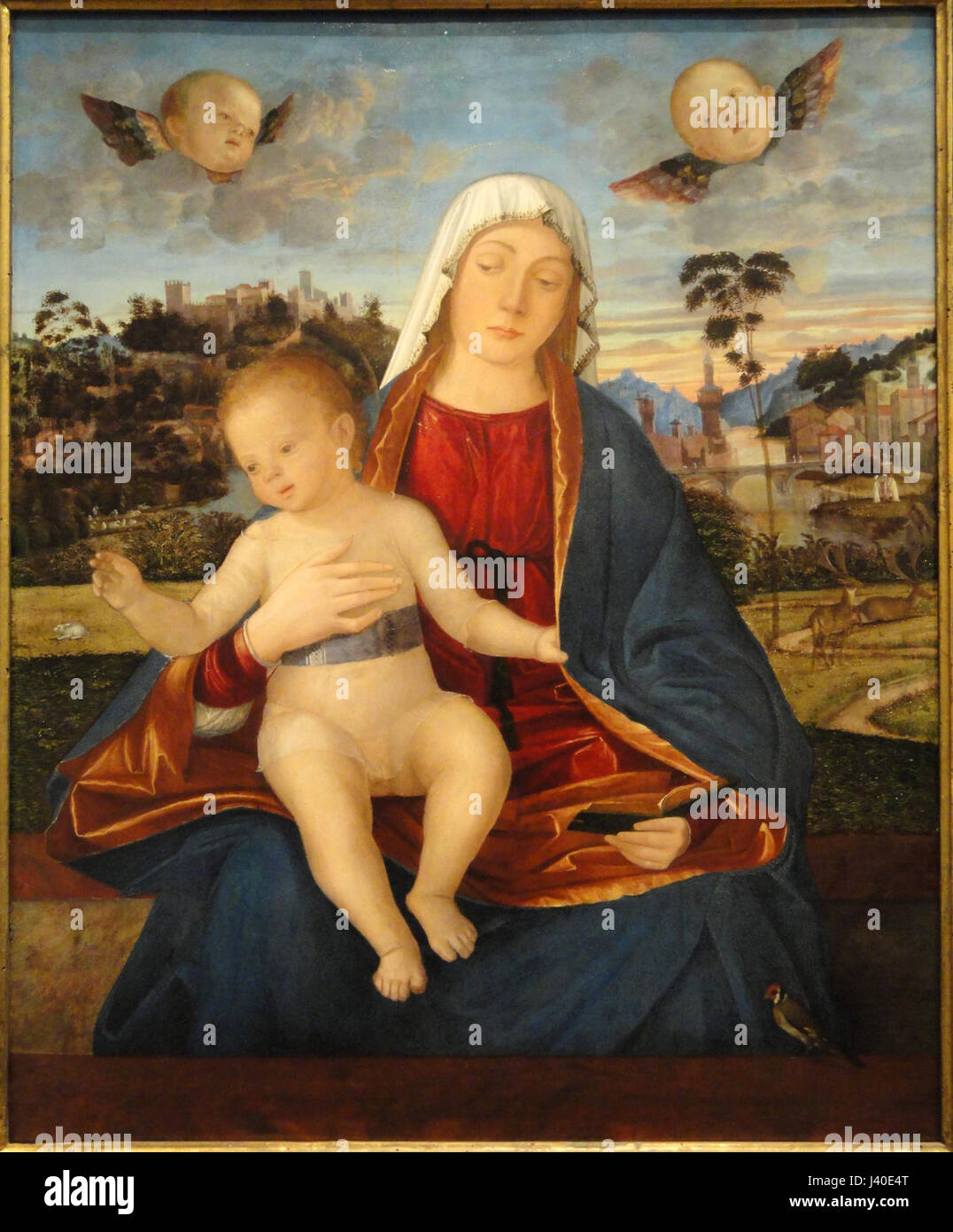 "Madonna col bambino" di Vittore Carpaccio, dipinto intorno al 1505-1510, è un dipinto ad olio su tavola situato nella National Gallery of Art, Washington. Raffigura la Vergine Maria e Gesù bambino, un tema importante nell'arte cristiana. Foto Stock