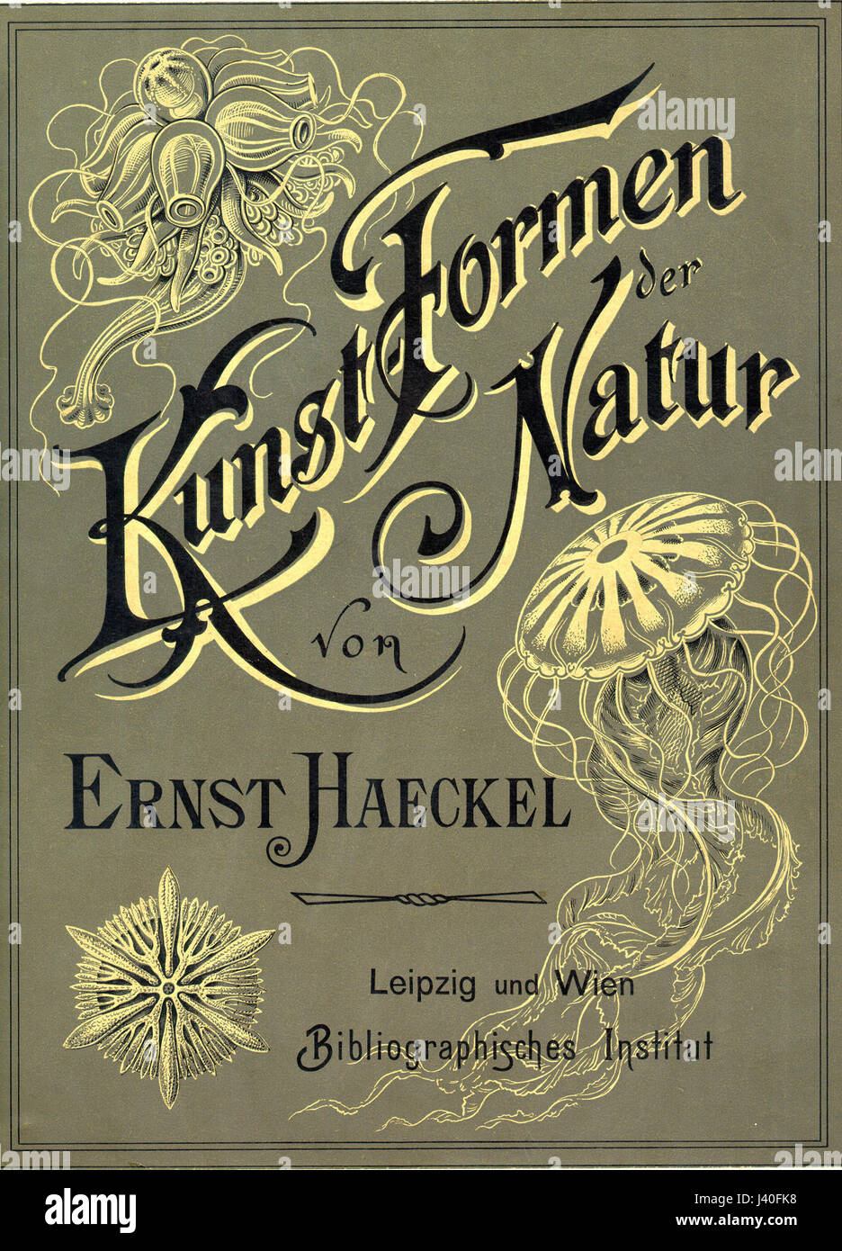 Kunstformen der Natur è una famosa serie di litografie create da Ernst Haeckel, raffiguranti rappresentazioni intricate e dettagliate di varie forme trovate in natura. La serie è celebrata per la sua precisione artistica e scientifica, mostrando una vasta gamma di organismi provenienti da ambienti diversi. Foto Stock