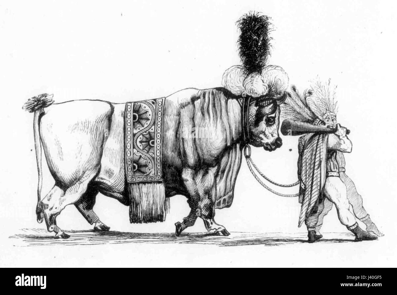"Le Boeuf Gras" è un'incisione del 1830 di Porret, che raffigura una tradizionale scena di festival francese. L'immagine è una rappresentazione visiva delle celebrazioni che circondano il festival, spesso associate alle tradizioni carnevalesche e pre-quaresiane in Francia. Foto Stock