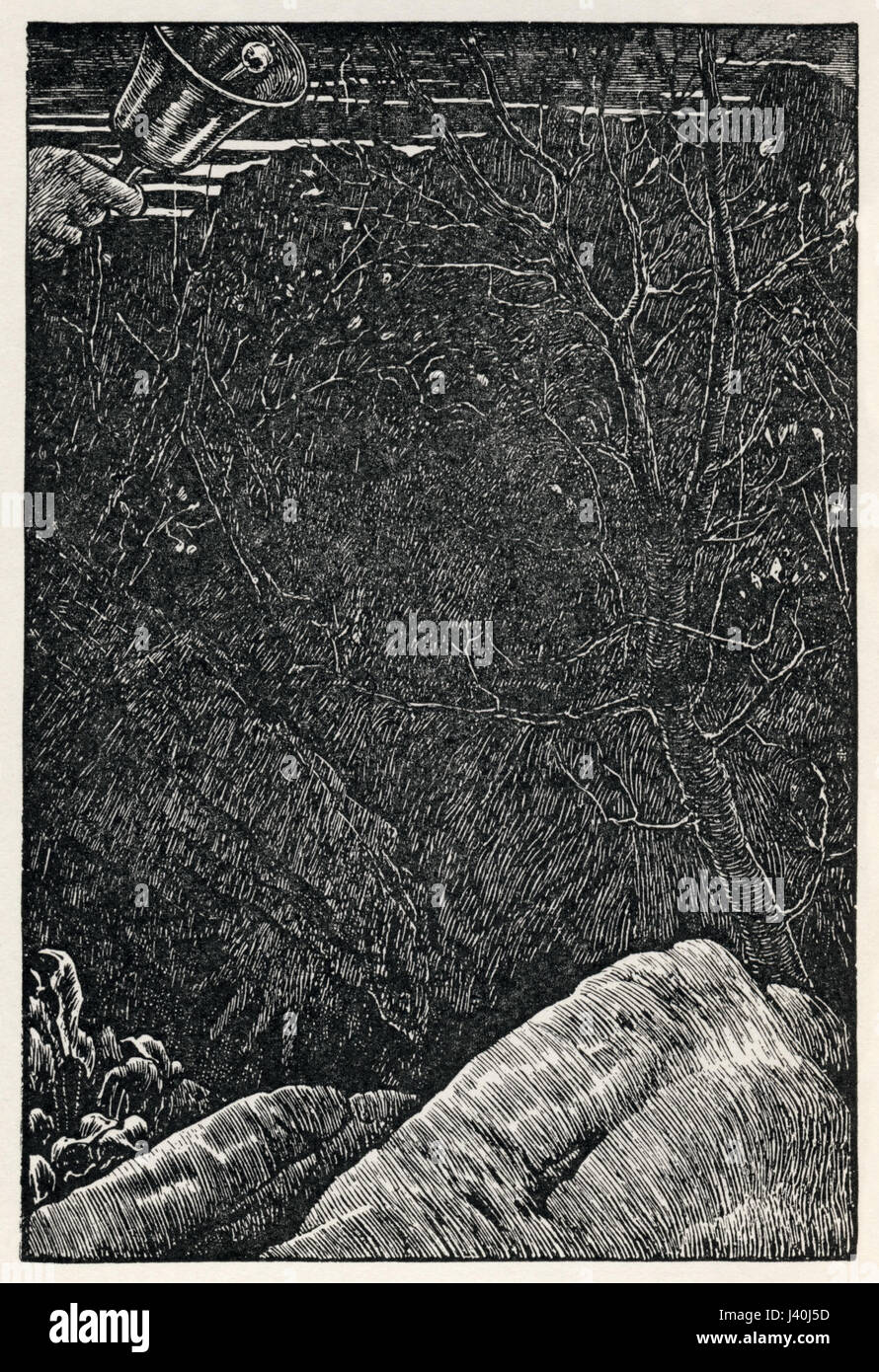 Questa illustrazione, 'Plate 10', tratta da 'Hunting of the Snark' di Lewis Carroll, creata da Henry Holiday, è una rappresentazione visiva dei temi fantastici della poesia. Foto Stock