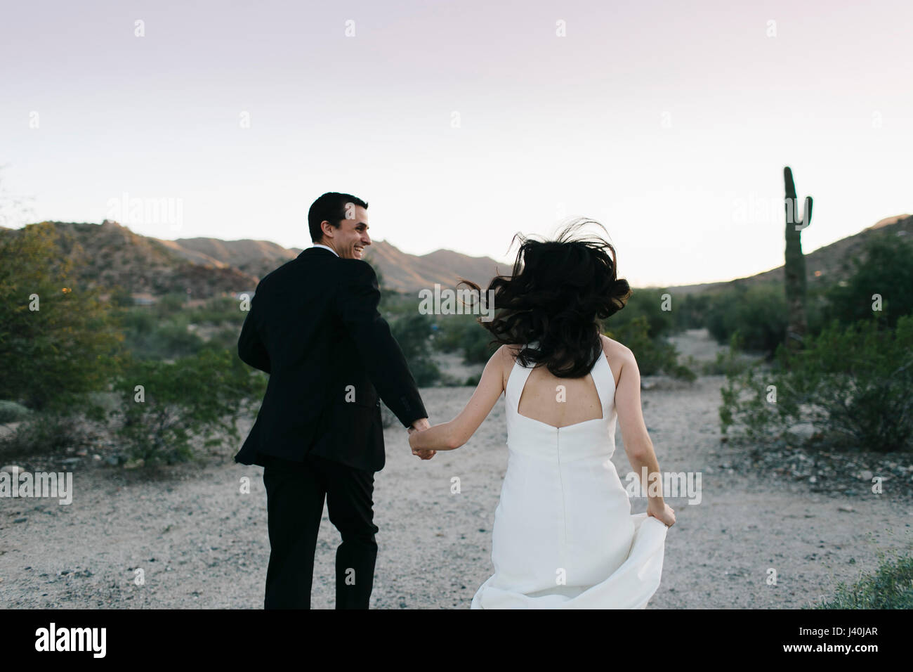 Sposa e lo sposo in arido paesaggio, tenendo le mani, in esecuzione, vista posteriore Foto Stock