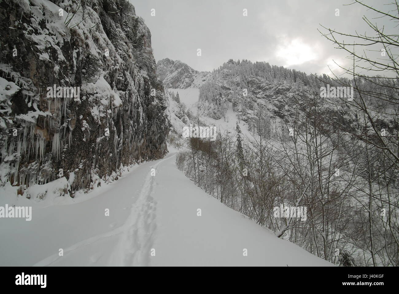 Coperta di neve road nelle Alpi di Chiemgau, Germania. Foto Stock