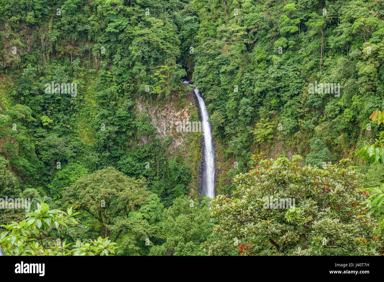 La Fortuna de San Carlos cascata closeup vista in Costa Rica Foto Stock