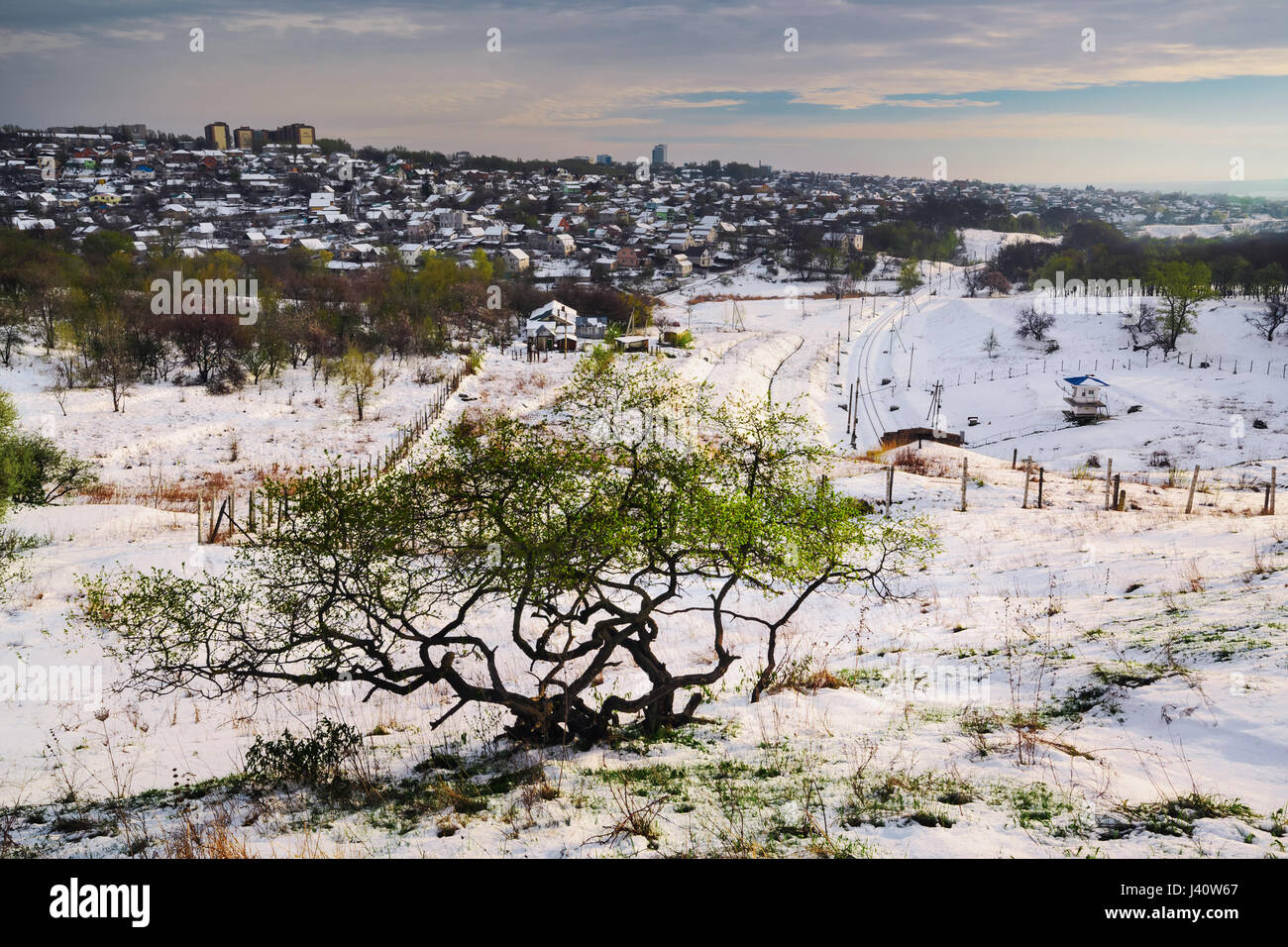 Alberi sulla molla di colline coperte di neve. L'Ucraina Dnepropetrovsk Foto Stock