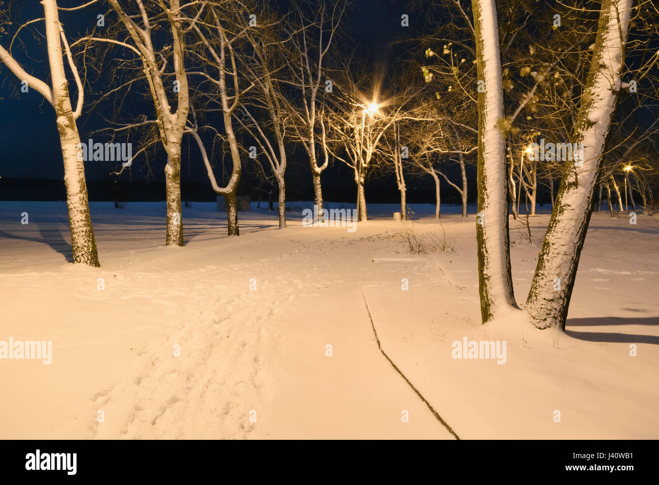 Coperta di neve il percorso illuminato da luci di strada nella notte Foto Stock