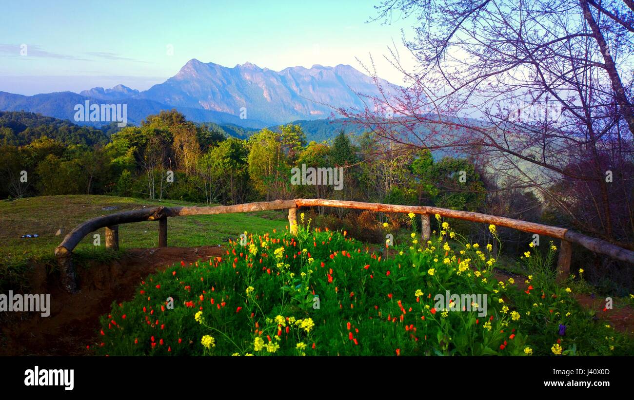 Doi luang Chiang Dao montagna a Chiangmai thailandia Foto Stock