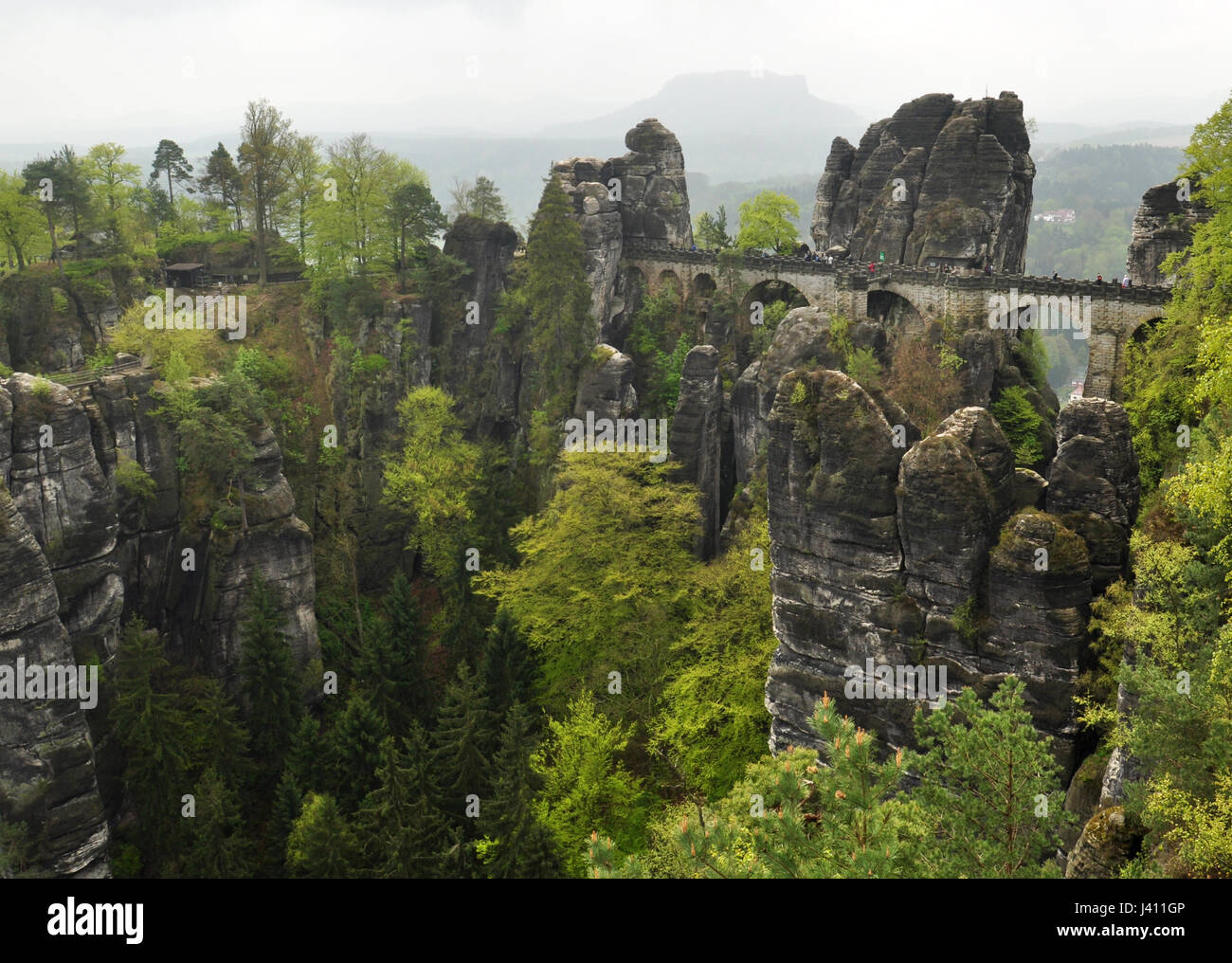 Svizzera sassone natioanl vista parco Foto Stock