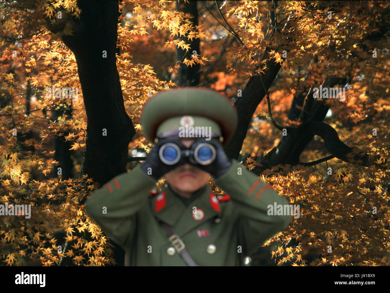 Soldato guardando attraverso il binocolo, militare, albero autunnale in background, Kumgangsan, Corea del Nord, Asia Foto Stock