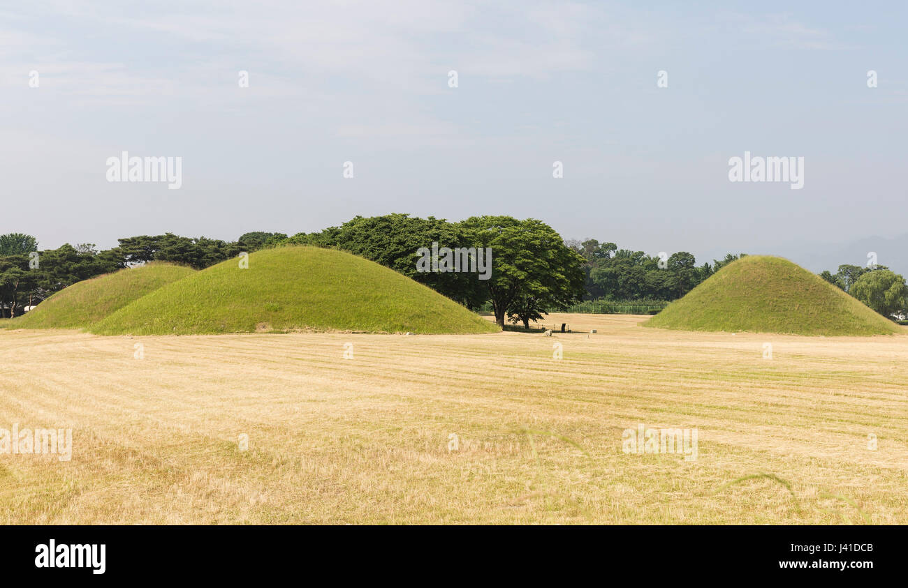 Tomba Daereungwon complesso, dove grandi antiche tombe dei re e dei nobili di La Silla unito può essere visto. Gyeongju, Corea del Sud Foto Stock