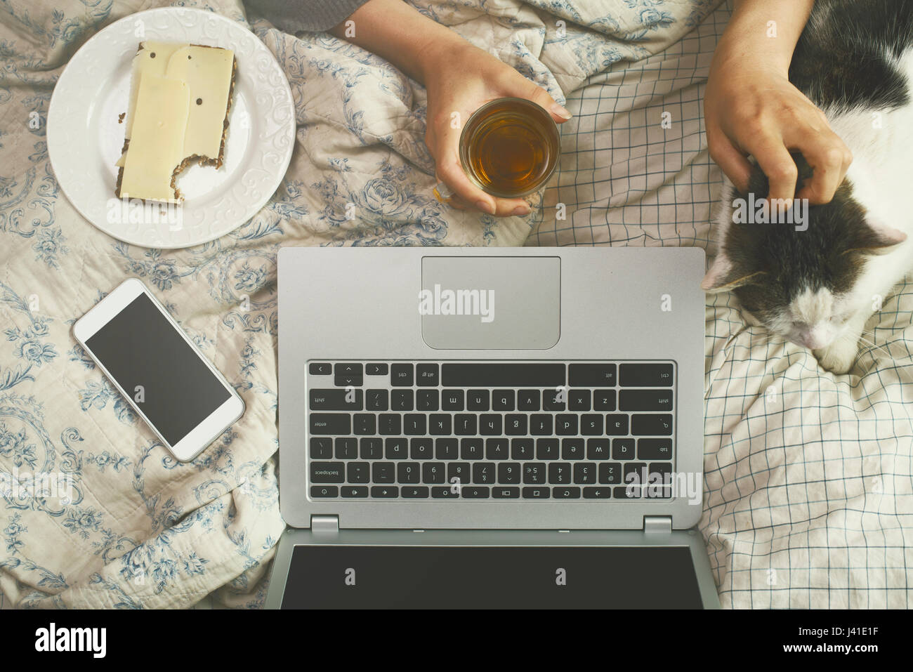 Top visualizza immagine di womans mani sul letto lazy guardare filmati Netflix nel letto con cat Foto Stock
