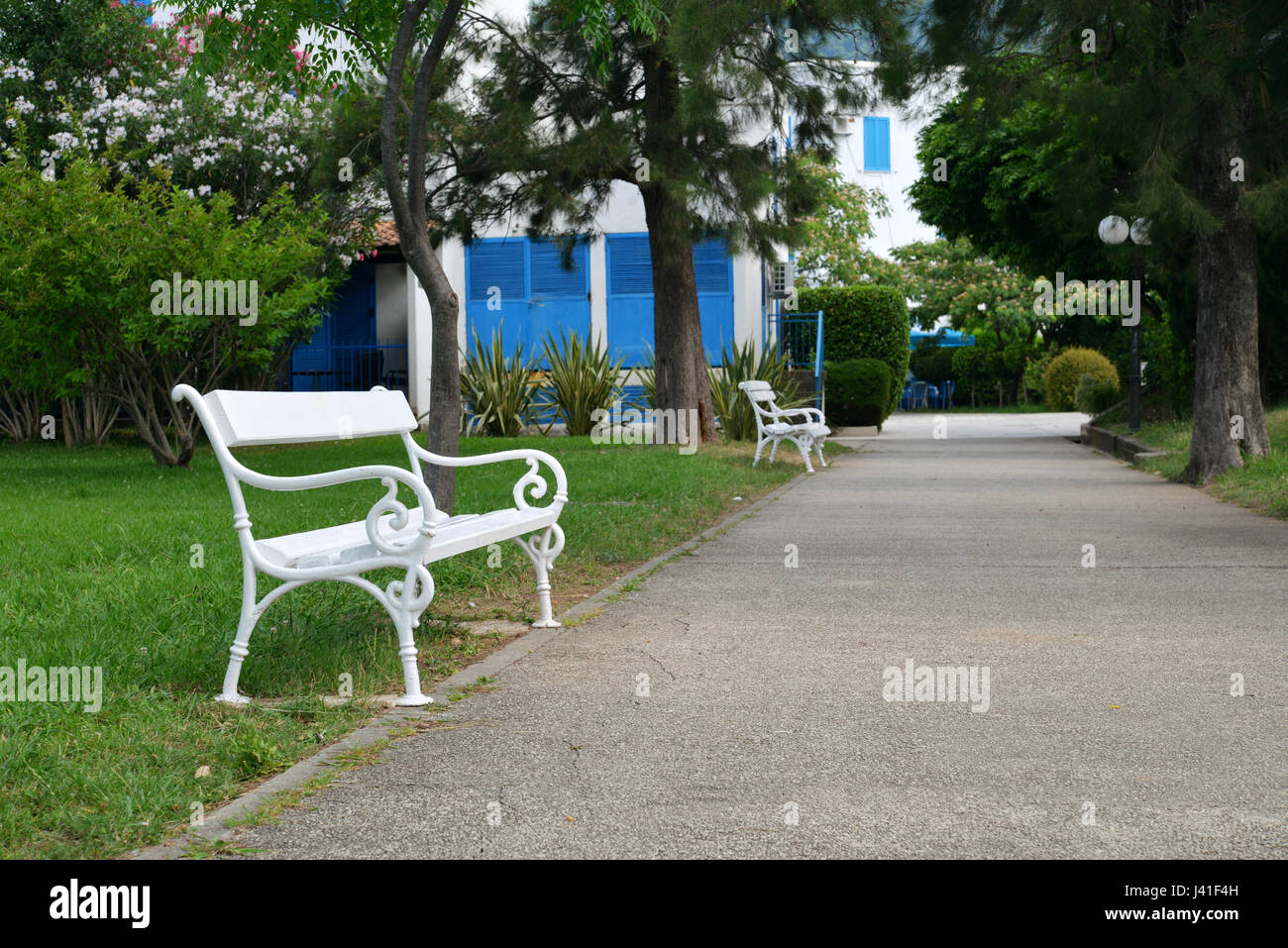 Banco di bianco in estate park in Montenegro Foto Stock