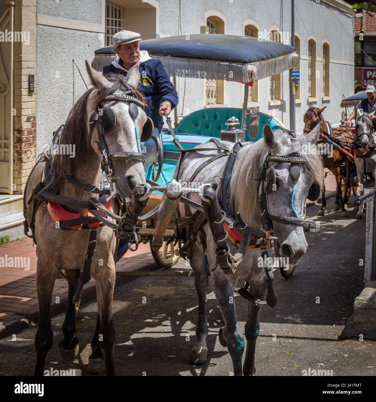 Carrozza con due cavalli sulla Princess isole, Buyukada Isola, Istanbul, Turchia Foto Stock