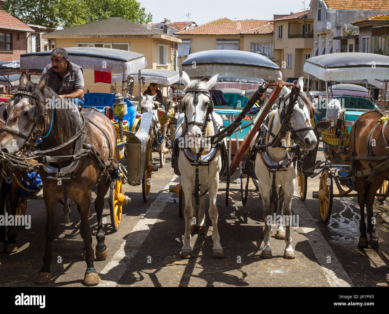 Decorate romantiche carrozze a cavallo con due cavalli ciascuna sulla Princess isole, Buyukada Isola, Istanbul, Turchia. Si tratta di una popolare destinazione weekend fo Foto Stock