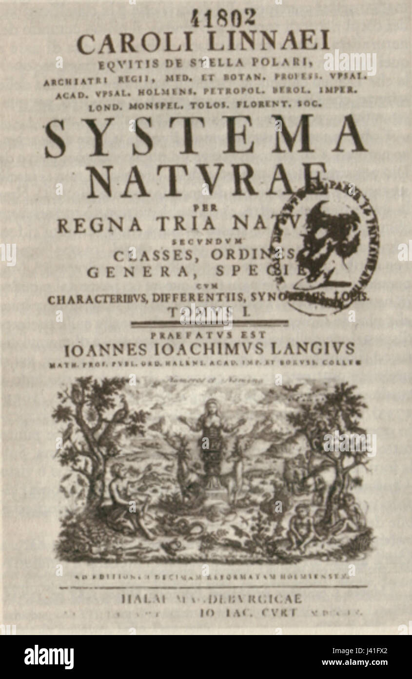 La copertina di Linneo 'Systema Naturae' del 1760 è un'illustrazione storica e scientifica che mostra la prima classificazione di piante e animali nelle scienze naturali. Foto Stock La copertina di Linneo 'Systema Naturae' del 1760 è un'illustrazione storica e scientifica che mostra la prima classificazione di piante e animali nelle scienze naturali. Foto Stock