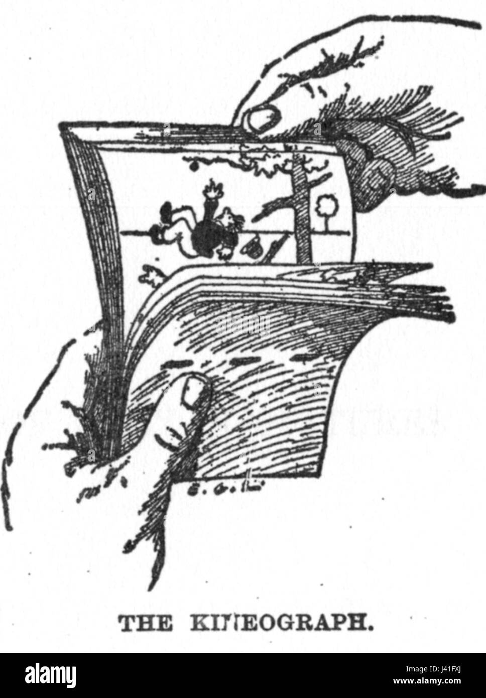 Linnet kineograph 1886 Foto Stock