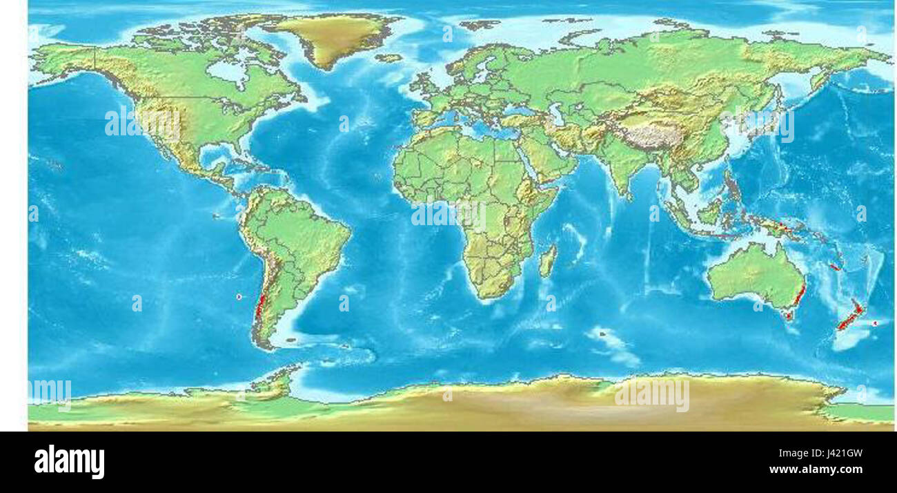 Distribuzione Libertia Foto Stock