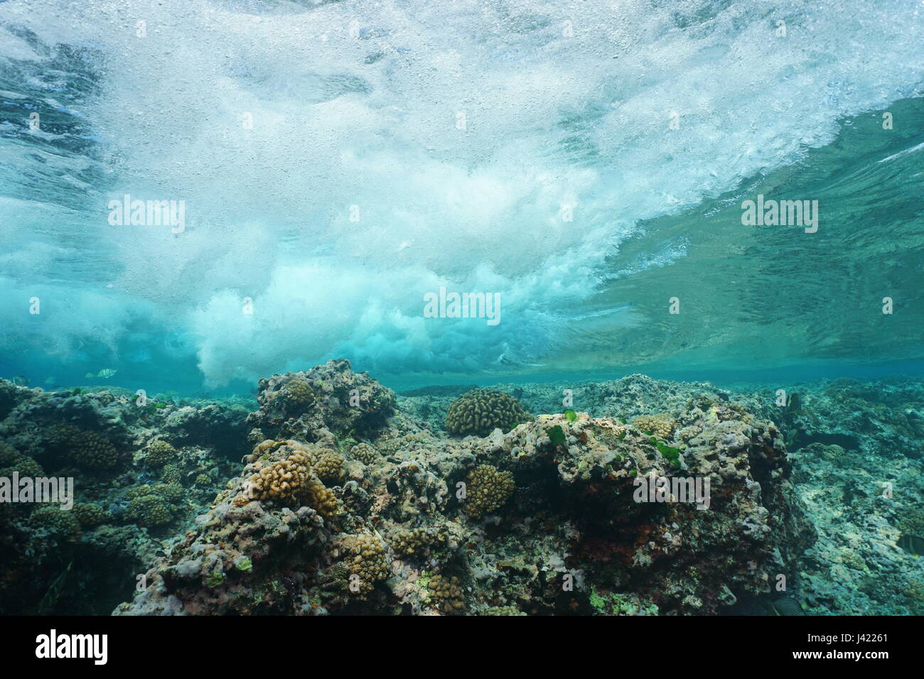 Rottura d'onda sulla barriera corallina dal subacqueo, oceano pacifico, Huahine, isole della Società, Polinesia Francese Foto Stock