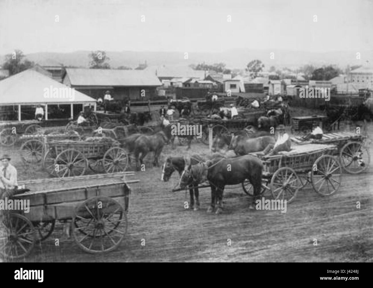 Questa immagine storica mostra carri trainati da cavalli carichi di merci a Lowood, Queensland, intorno al 1909. Cattura un momento dell'inizio del XX secolo, quando il trasporto trainato da cavalli era comune. Foto Stock