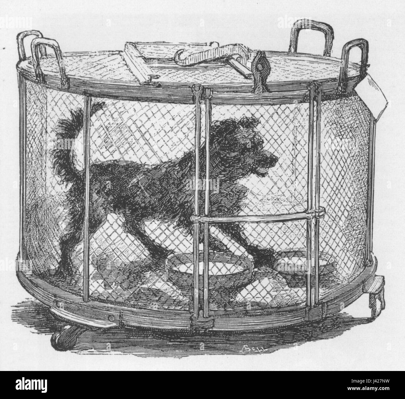 Louis Pasteur Tierversuchen (M Renourad illustrazione 1884) Foto Stock