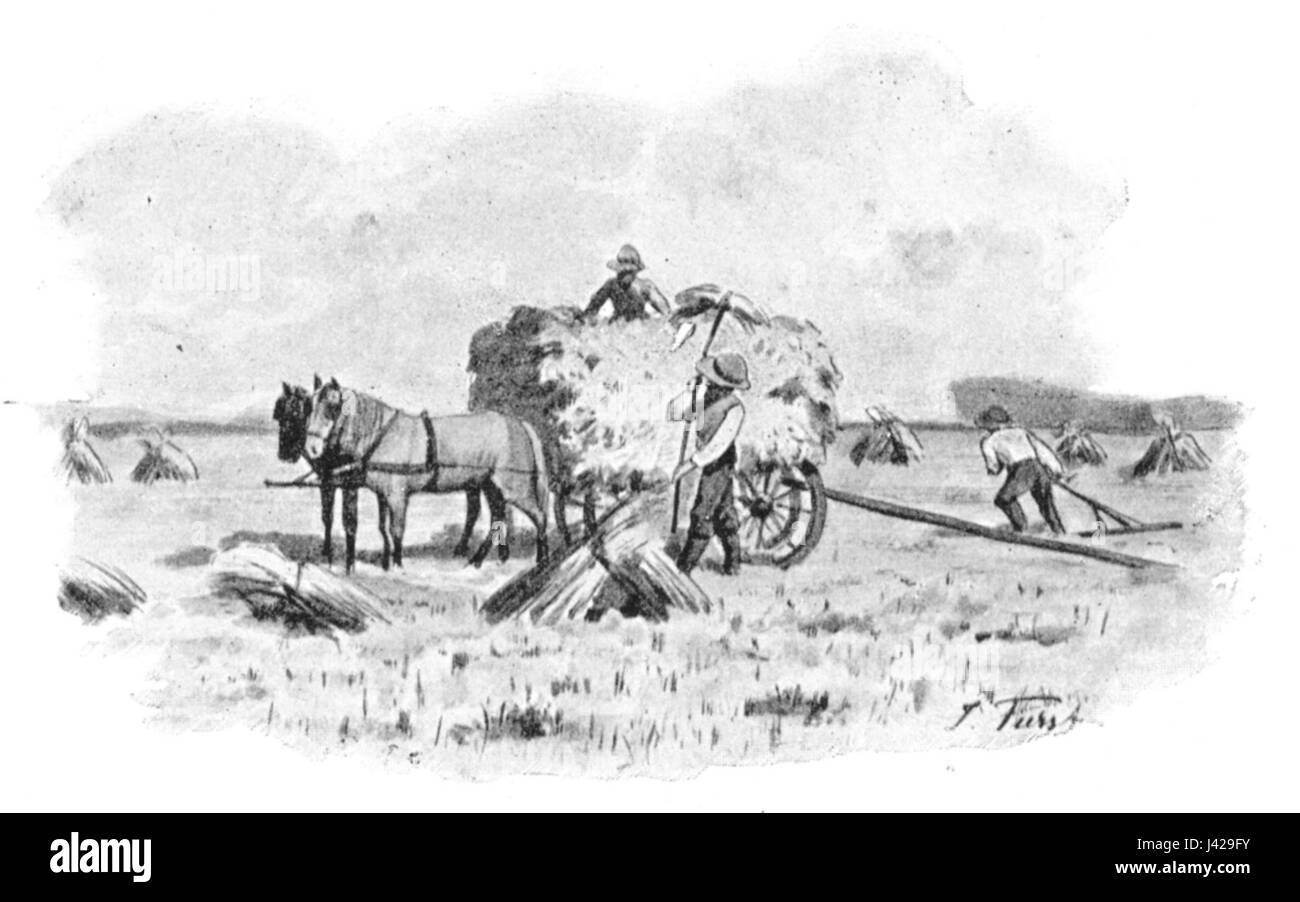 "Kornernte 01" è un riferimento a un evento o oggetto storico, probabilmente legato alla storia del raccolto o dell'agricoltura, potenzialmente legato a pratiche agricole regionali. Foto Stock