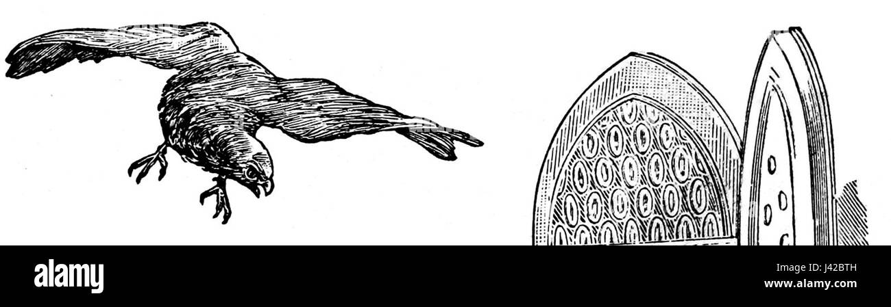 Le avventure di Pinocchio è un romanzo di Carlo Collodi, pubblicato per la prima volta nel 1883. Segue la storia di un burattino di legno che sogna di diventare un vero ragazzo. Foto Stock