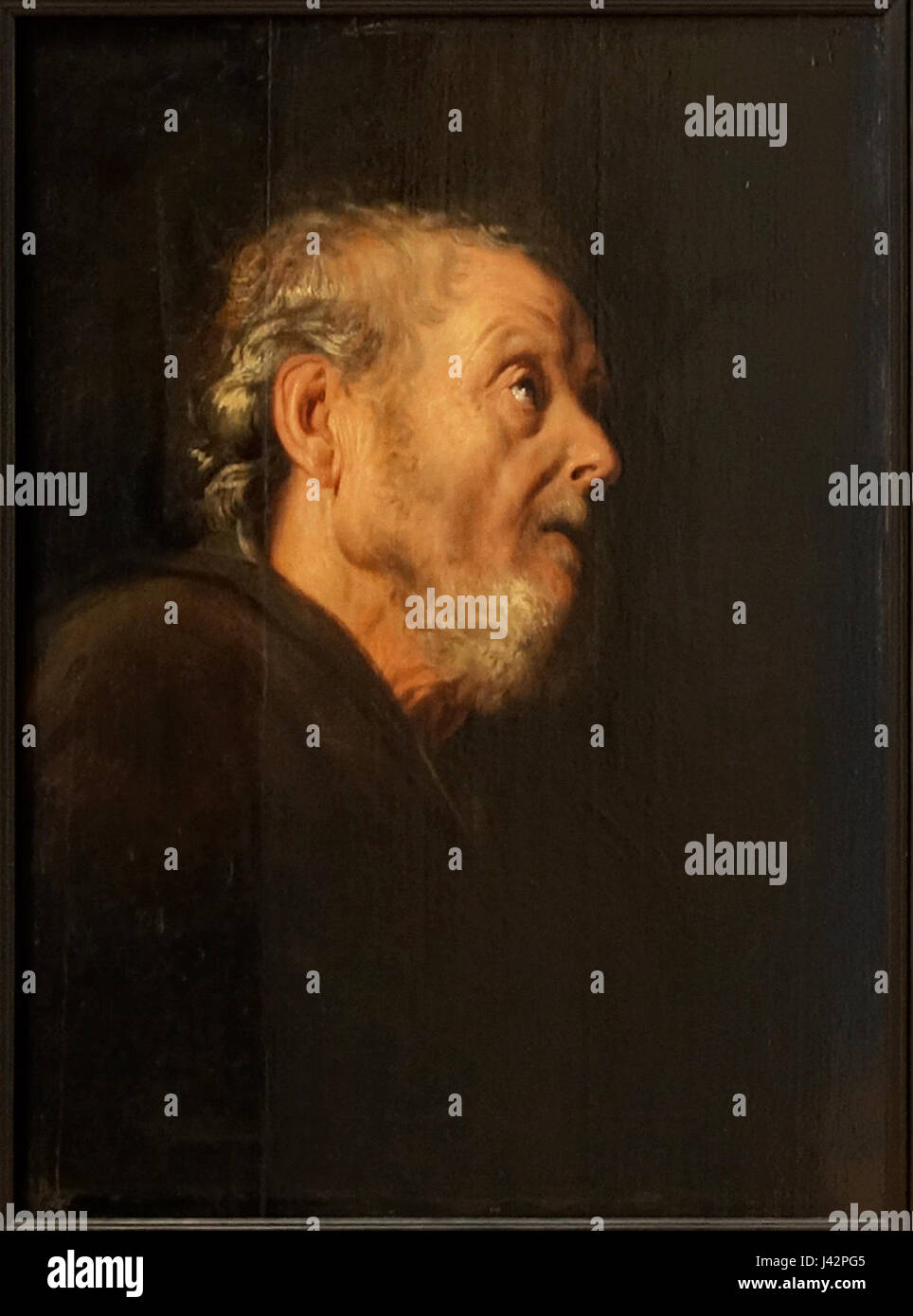 La "Lille PdBA lievens tete de vieillard" si riferisce a un'opera d'arte, probabilmente un ritratto di un uomo anziano ("tete de vieillard") dell'artista Lievens, associata alla città di Lille in Francia. Foto Stock