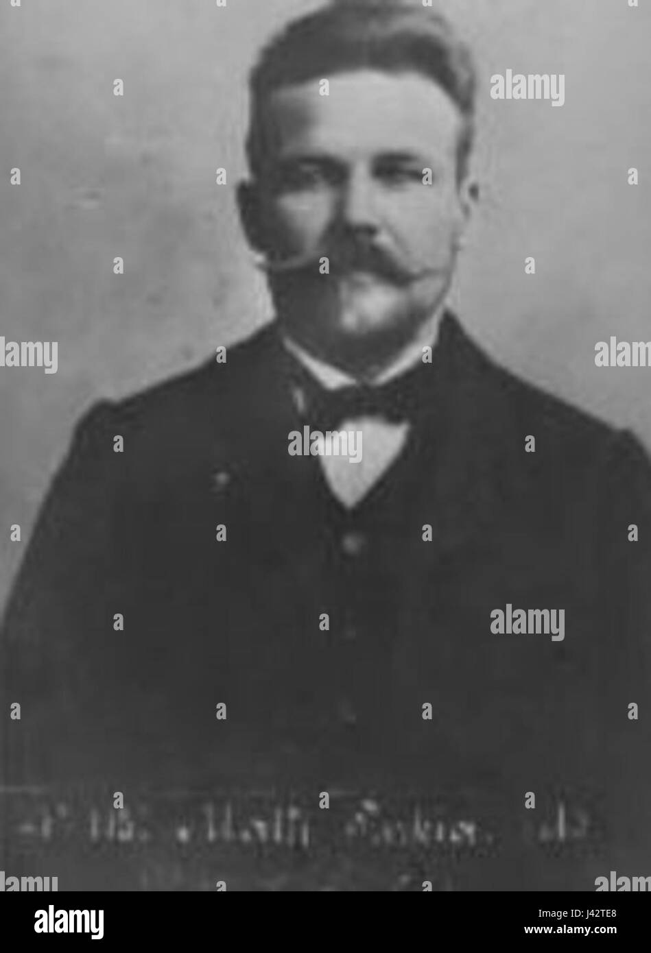 Matti Turkia è noto per i suoi contributi all'arte o alla cultura, con particolare attenzione alle sue opere creative, spesso esplorando temi di arti visive e design. Foto Stock