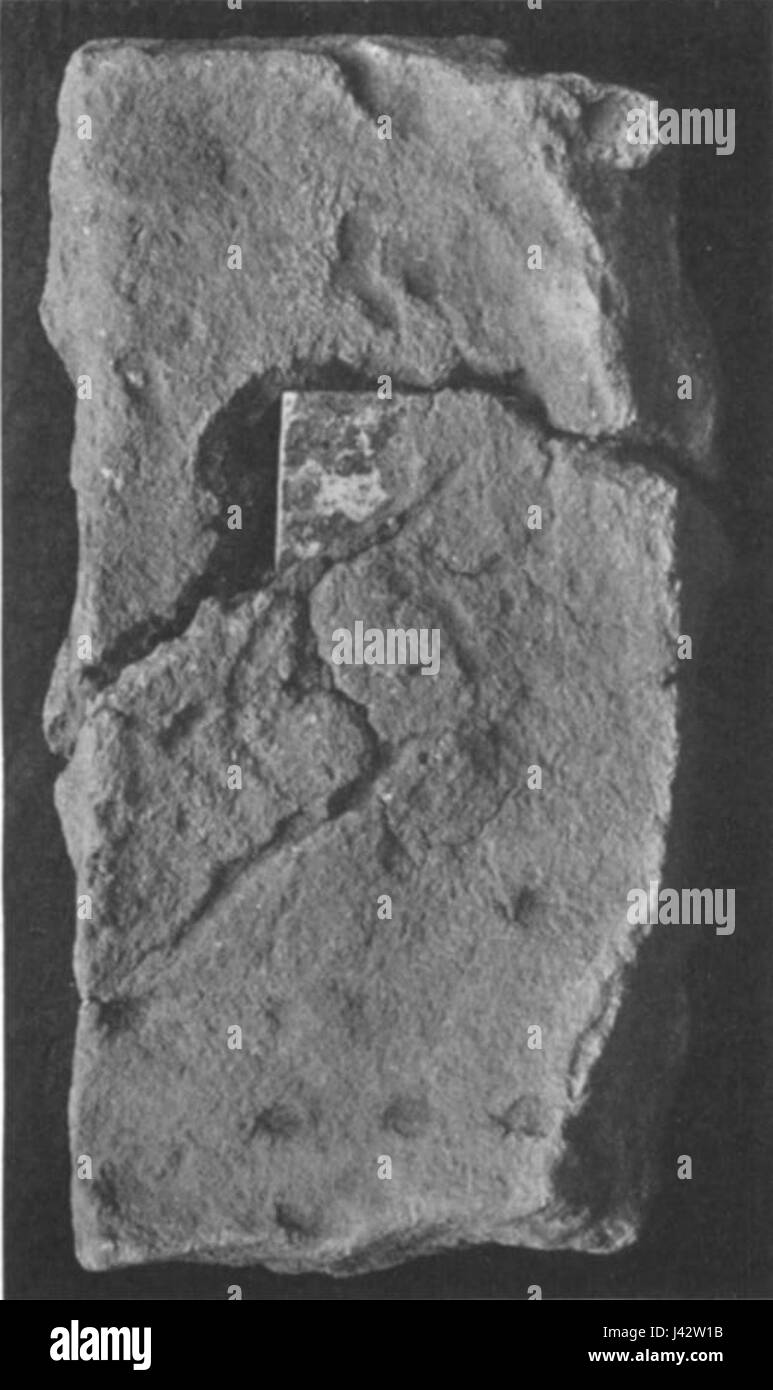 Macis Lisht BMMA 16 11 11 Foto Stock