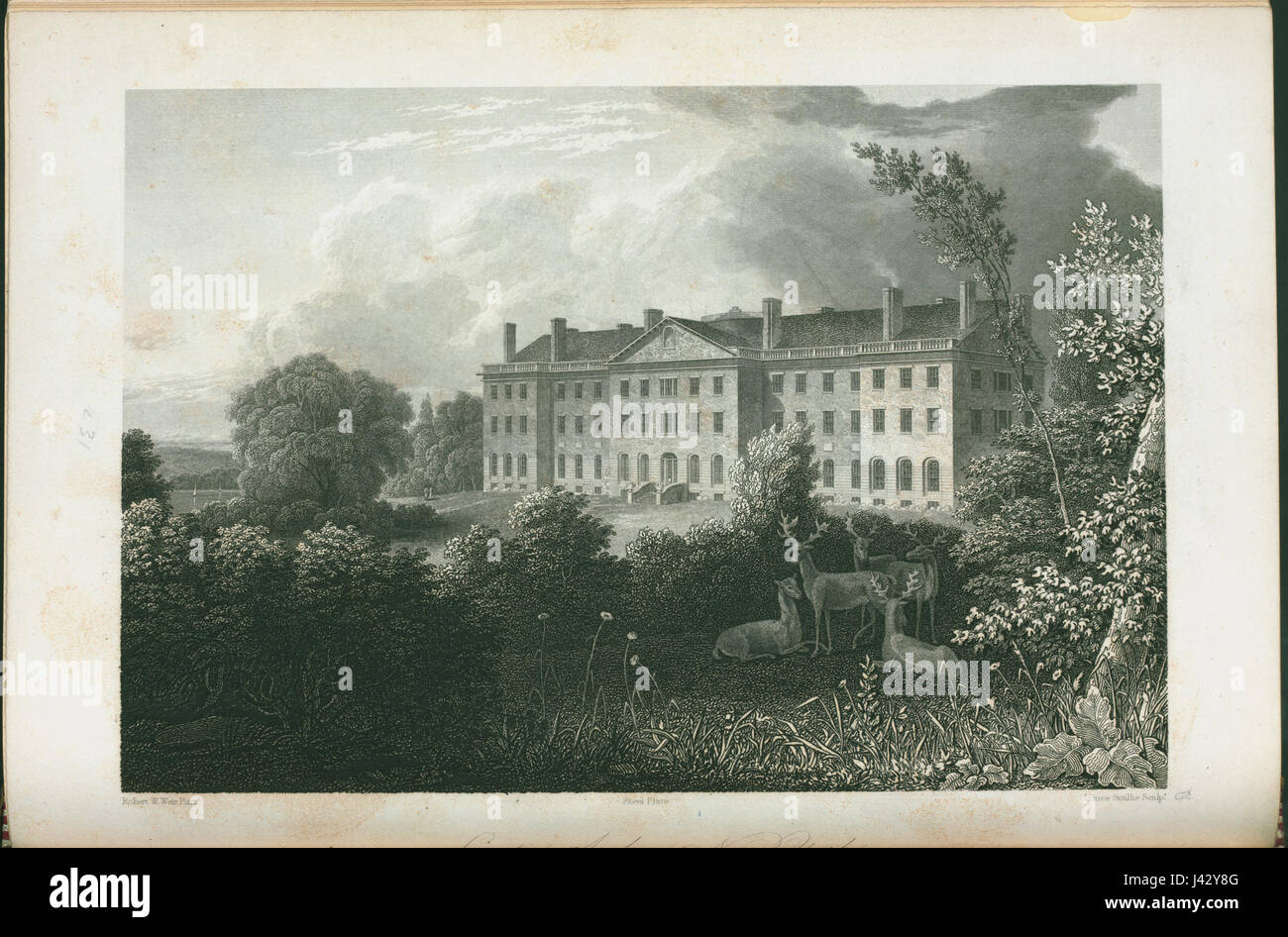 Manicomio, New York (NYPL ADE 255346 431257) Foto Stock