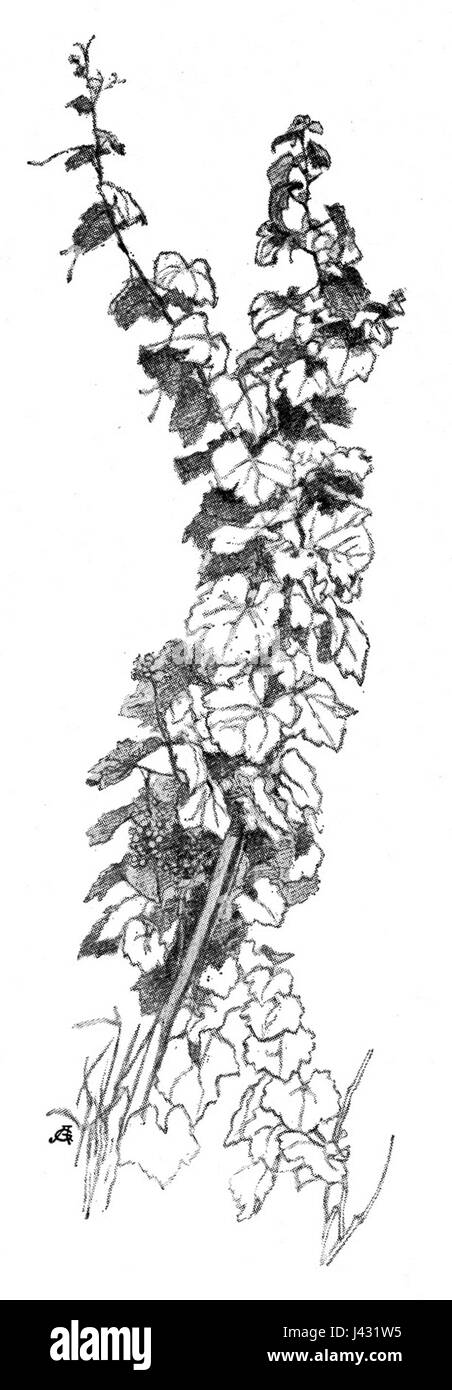 Maximilian Suppantschitsch Weinstock fu un individuo influente, probabilmente dai primi anni del XX secolo, riconosciuto per il suo lavoro o contributi durante la sua epoca. L'anno 1924 segna un punto significativo della sua vita. Foto Stock