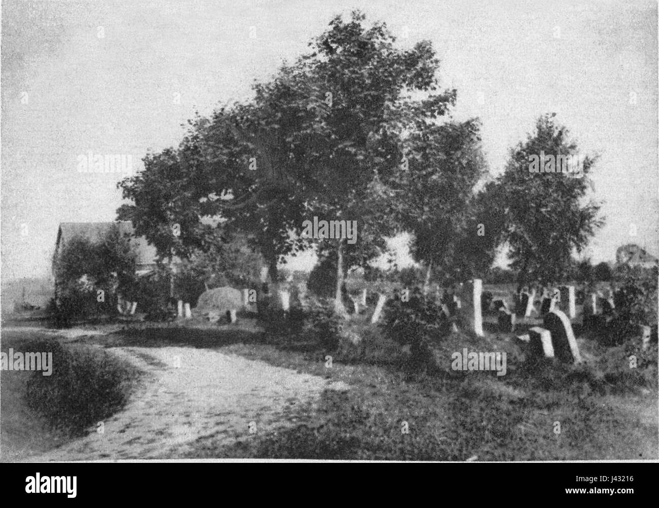 Lwow (Lviv),Kulparkow Cimitero Ebraico Foto Stock