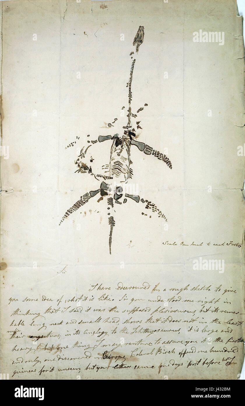 Mary Anning, una pioniera cacciatrice di fossili dall'Inghilterra, scoprì il primo scheletro completo di un Plesiosaurus nel 1823. Questa scoperta fu fondamentale nei primi studi sulla vita preistorica e sulla paleontologia. Foto Stock