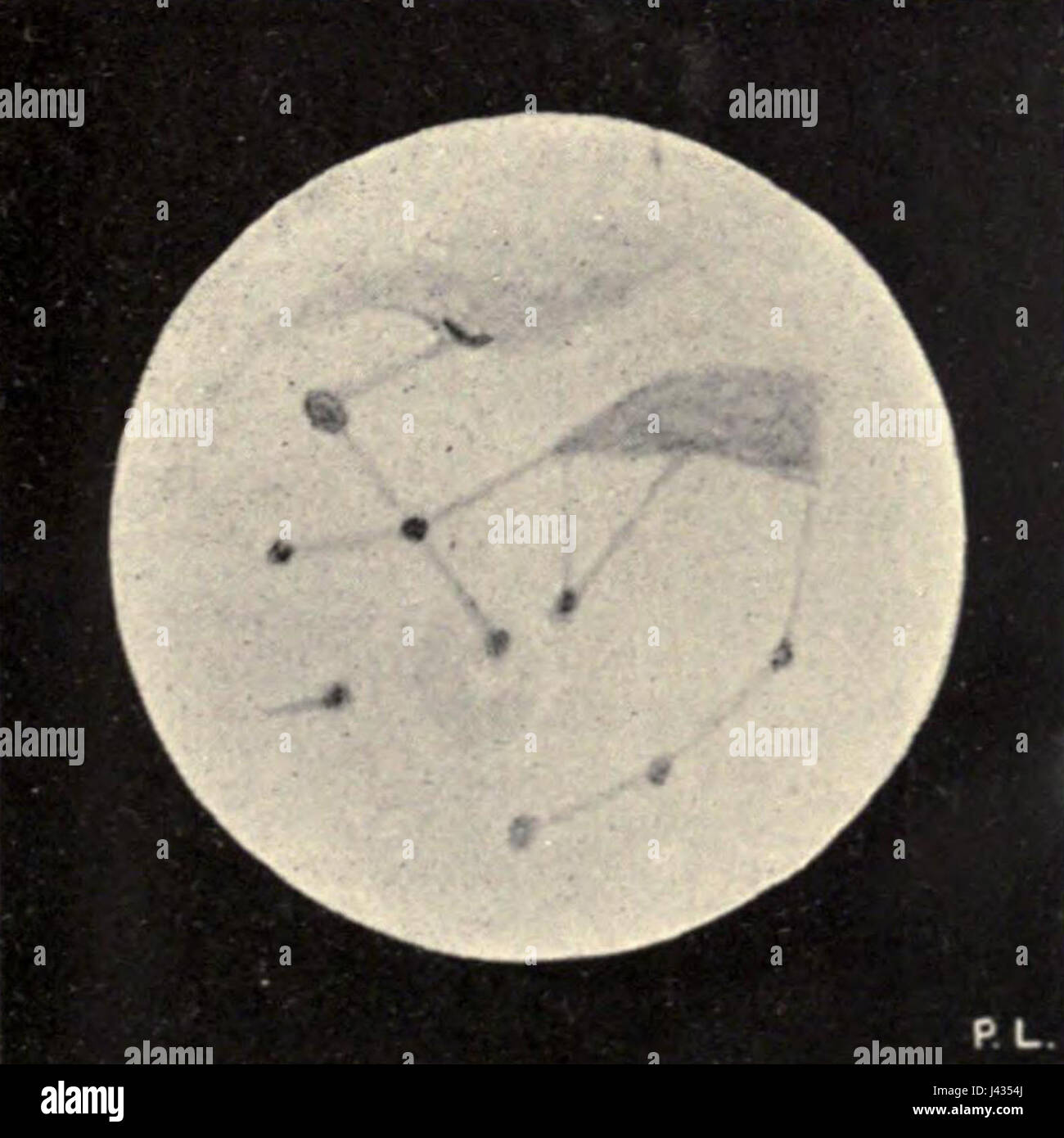Il titolo si riferisce a una targa di una pubblicazione del 1896 di Lowell Mars, probabilmente un'opera scientifica o artistica, con la tavola 26 Figura 3 come immagine o diagramma specifico della pubblicazione. Foto Stock