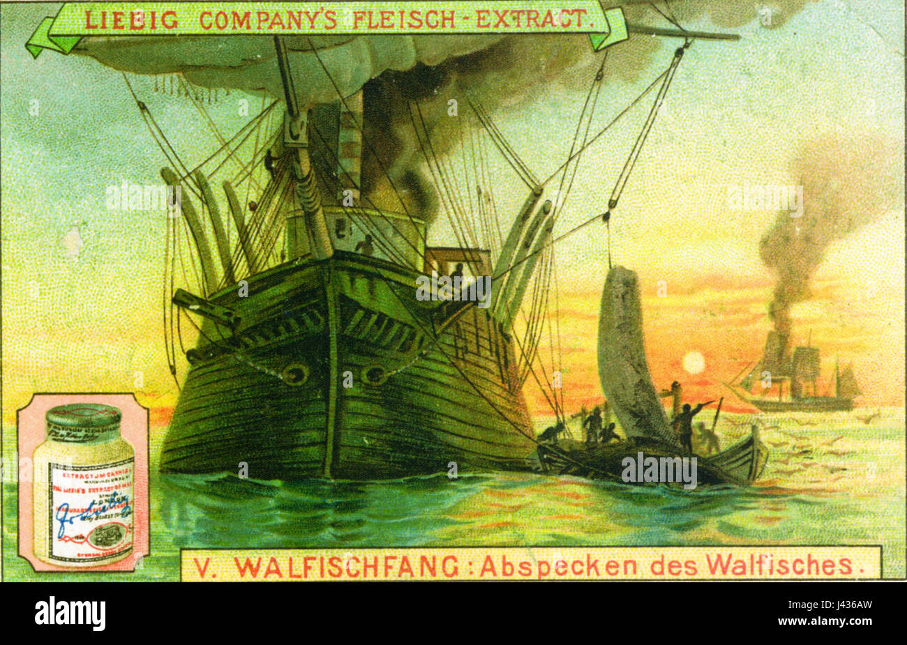 Questa pubblicità del XIX secolo presenta l'estratto di carne di Liebig, un prodotto popolare all'epoca, insieme a una rappresentazione della balena (Walfischfang), che mostra il suo ampio fascino per i consumatori e il suo contesto culturale. Foto Stock