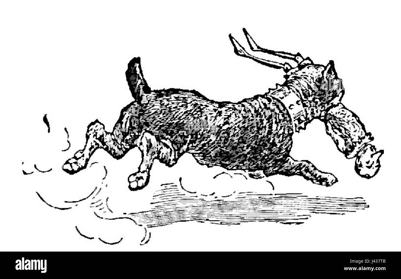 Le avventure di Pinocchio pag195 Foto Stock