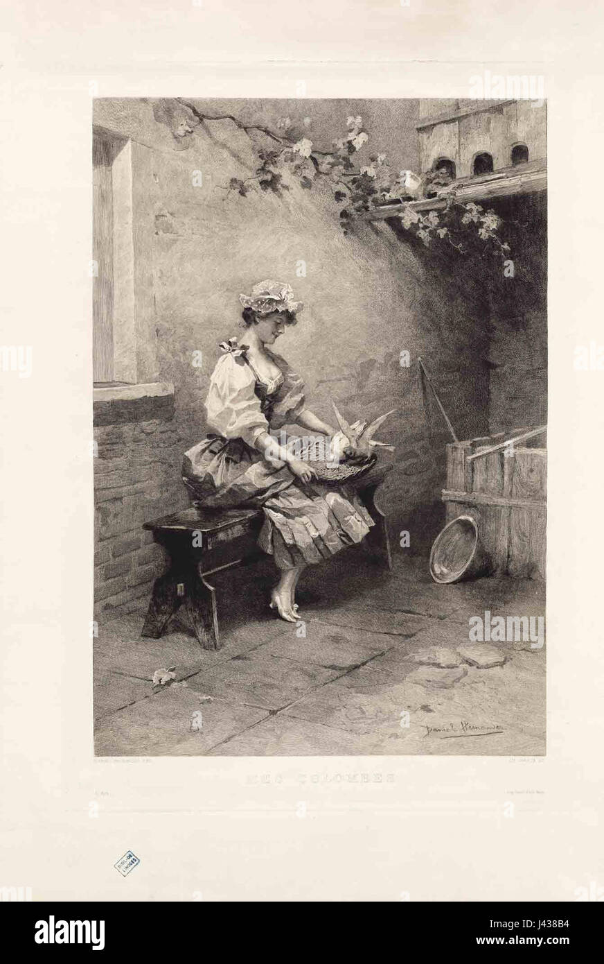 Una frase francese che significa "My Doves", probabilmente riferita a un'opera d'arte, poesia o riferimento storico legato alle colombe, che simboleggiano la pace o l'amore. Foto Stock