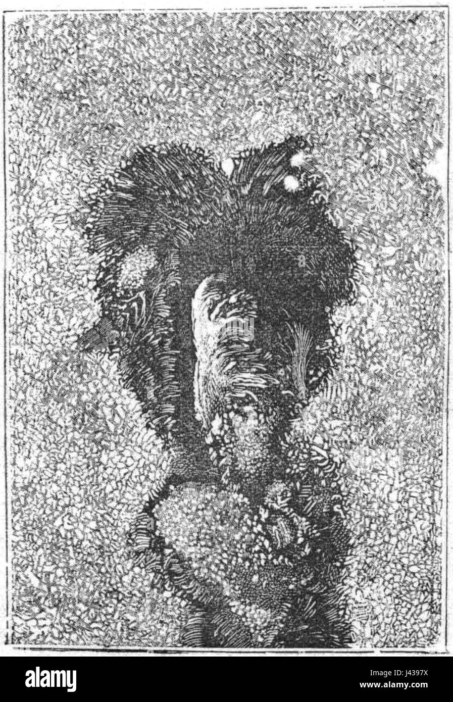 Las Maravillas Del Cielo pg 131 Foto Stock